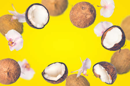 Yellow tropical summer background with falling coconuts and orchids flowersの写真素材