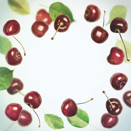Summer berry square background. Cherry flies frame.の写真素材