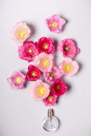 Women's perfume bottle and pink mallow flowers. Minimalism beauty concept