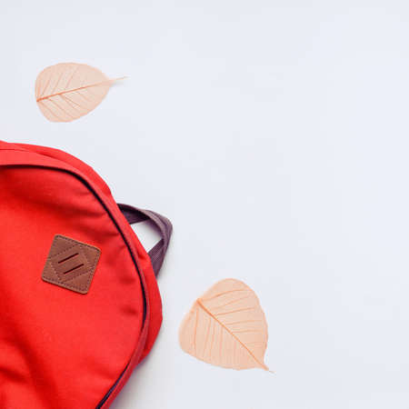 Backpack and orange leaves on a blue background. Back to school concept.