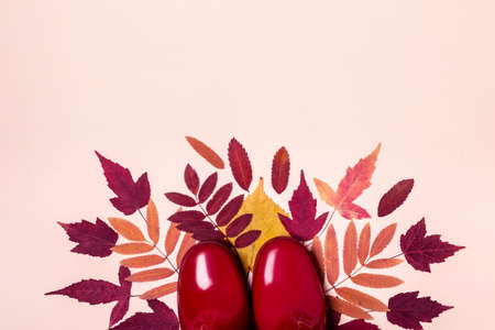 female fashion autumn rubber boots and dry leaves on pastel color background.の写真素材