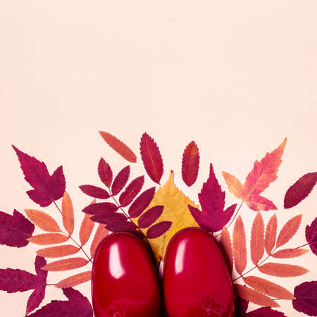 female fashion autumn rubber boots and dry leaves on pastel color background.