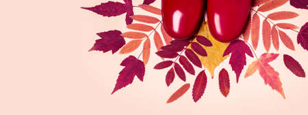 female fashion autumn rubber boots and dry leaves on pastel color background.の写真素材