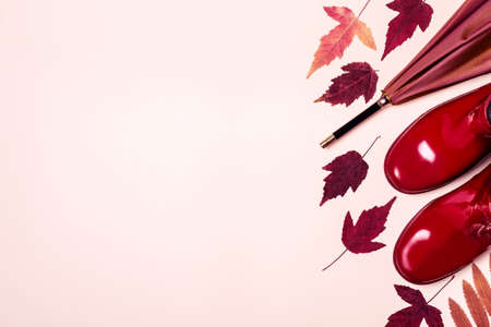 female fashion autumn accessories shoes and umbrella on pastel color background. Beauty and fashion concept.の写真素材