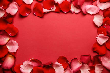 Love romantic background. Frame of rose petals on a red background.の写真素材