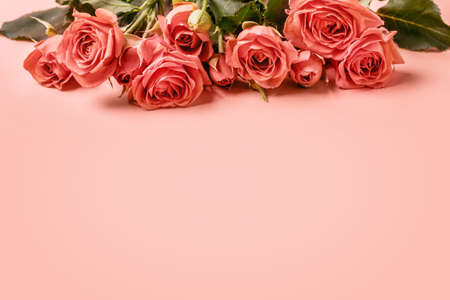 Pink card with delicate coral roses. Mother's Day concept.の写真素材