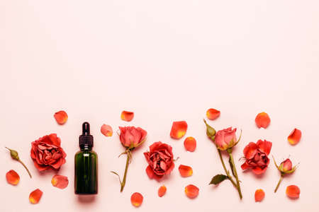 Delicate pink  with roses, petals and essential oil.の写真素材