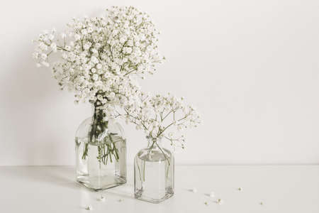 Romantic elegant bouquets gypsophila flowers on table wallの写真素材