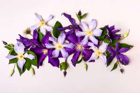 Summer floral composition.の写真素材