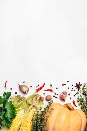 Autumn vegetables and spices border.の写真素材
