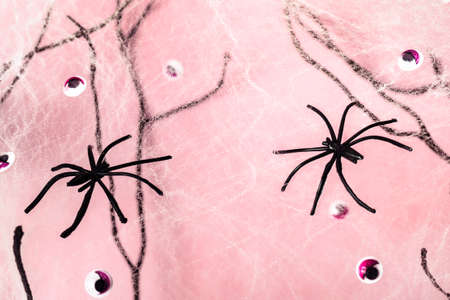 Spiders, cobwebs and monster eyes on halloween pink pastelの写真素材