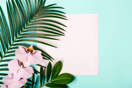 Natural Creativec layout made of tropical leaves and flowers.の写真素材