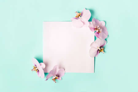 Delicate Orchid flowers frame.の写真素材