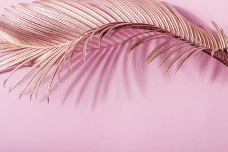 Curving golden leaf and its shadow on pink