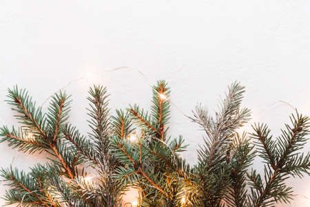 Minimal Christmas decor made of fir branches and golden light garland.の写真素材