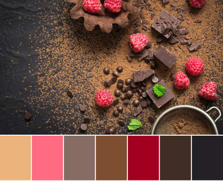 Color matching palette from Pieces of chocolate and fresh raspberries.