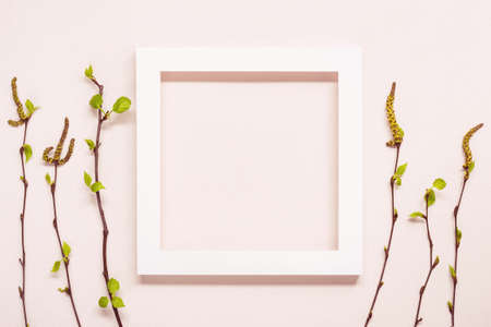 White Frame and young twigs with blooming leaves over pink pastel