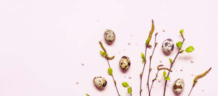 Blooming young twigs and quail eggs on pastel pink background. Happy easter concept, banner format.