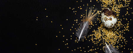 Quail eggs, feathers and golden sugar sprinkles on black.の写真素材