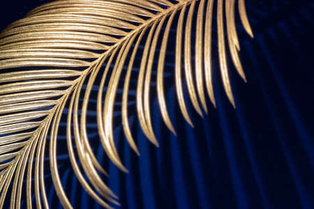 Glamor Golden tropical leaves and shadow on dark blue background, selective focus, art deco style.の写真素材
