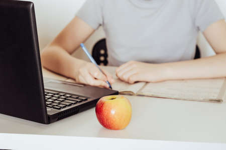 Distance learning at home. Schoolboy sitting at laptop and studying. Online education concept....
