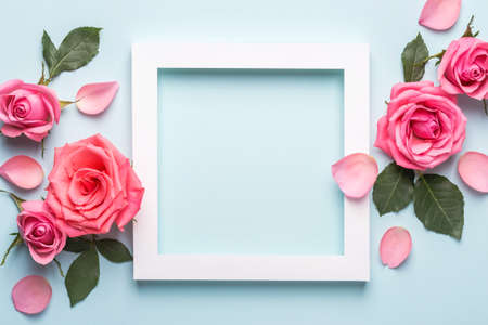 Arrangement of beautiful roses. White paper frame on blue pastel