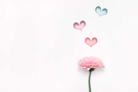 Elegant gerbera flower and colorful hearts holes. Minimal Creative Paper Art.