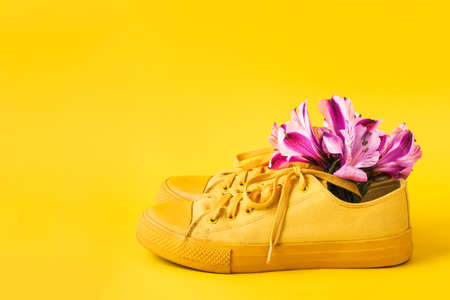 Pair of yellow sneakers and flower buds on yellow background. Spring summer fashion concept, front view, copy space.の写真素材