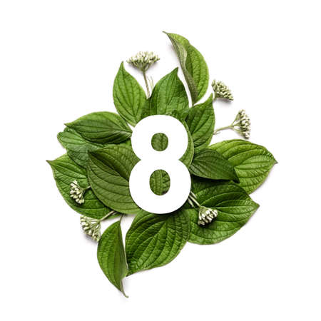 Paper number eight on background of green leaves. Minimal creative Layout with with natural elements...