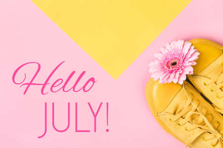 Hello July text and pink gerbera flower on pink background. Hello July concept.の写真素材