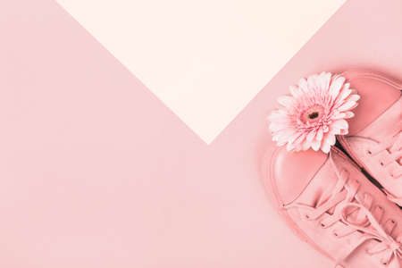 Sneakers and gerbera flower on geometricの写真素材