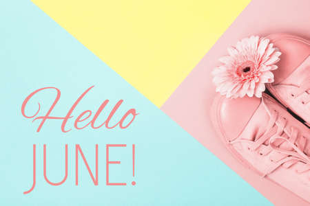 Hello June text and pink gerbera flower on pastel