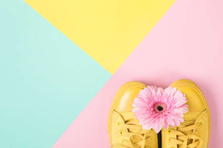 Yellow Sneakers and gerbera flower on geometric background. Fashion concept in pastel colors.の写真素材