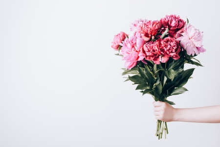 Female hand holds beautiful bouquet of peonies. Flower delivery concept.の写真素材