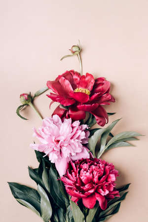 Bouquet of beautiful purple and pink peonies on beige background. Greeting card concept.の写真素材