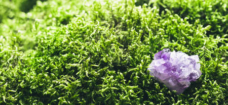 Amethyst on beautiful moss background. Magic stones for rituals, meditation and spiritual practices. Soft focus, banner formatの写真素材