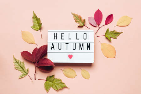 Hello autumn lightbox and colorful leaves on pastel background.