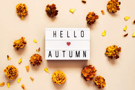 Lightbox with Hello Autumn text on pastel background with golden autumn flowers marigolds.