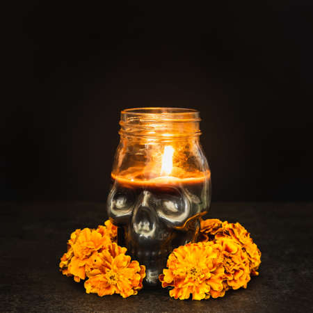 Burning candle Skull with marigold flowers on black background. Dia de los muertos day or day of the dead.の写真素材