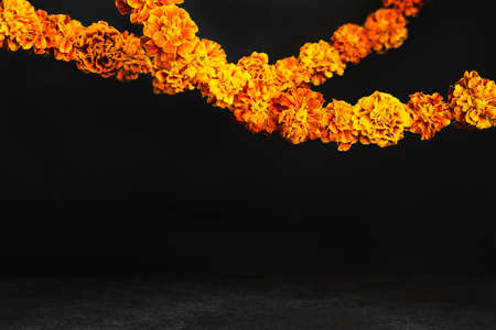 Marigold flowers Garlands on black. Dia de los muertos day, day of the dead or halloween background.