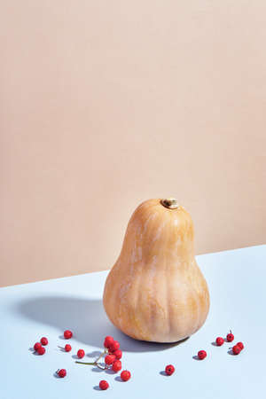 Autumn minimal composition of pumpkin and rowan berries in neutral tones. Isometric view.の写真素材