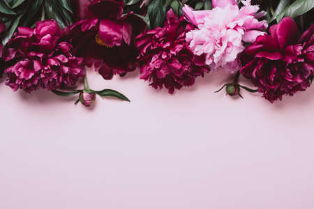 Pastel pink background with beautiful peonies. Soft focus, copy space.の写真素材
