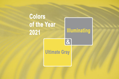 Trending colors of 2021 Ultimate Gray and Illuminating. Shadow of palm leafの写真素材