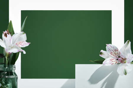 Premium white podium on green background with White flowers and shadows. Mock up for presentation of cosmetic productsの写真素材
