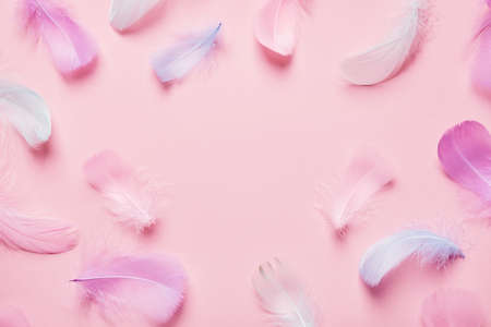 Abstract background with soft pink feathers. Monochrome Flat lay frameの写真素材