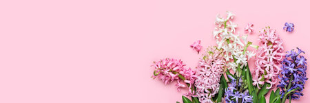 Flowers festive composition. Pink Spring or Easter Floral Background. Beautiful hyacinths flowers, Hello spring conceptの写真素材