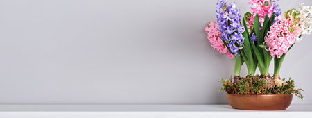 Bouquet of hyacinths in bowl with moss on mantelpiece. Spring and Easter natural interior decor, copy spaceの写真素材