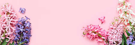 Flowers festive composition. Pink Spring or Easter Floral Background. Beautiful hyacinths flowers, Hello spring conceptの写真素材