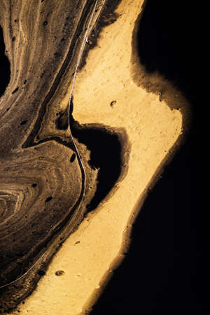 Liquid Golden wave on black. Abstract liquid marble background or texture. Acrylic Fluid Art....