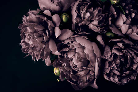 Surreal peonies bouquet on black background, soft focus. Dark Spring or summer floral background. Festive flowers conceptの写真素材